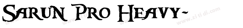 Sarun Pro Heavy字体转换